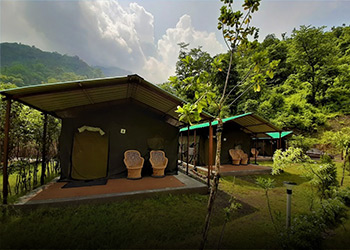 camp005