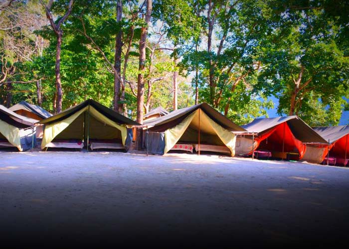 camp003